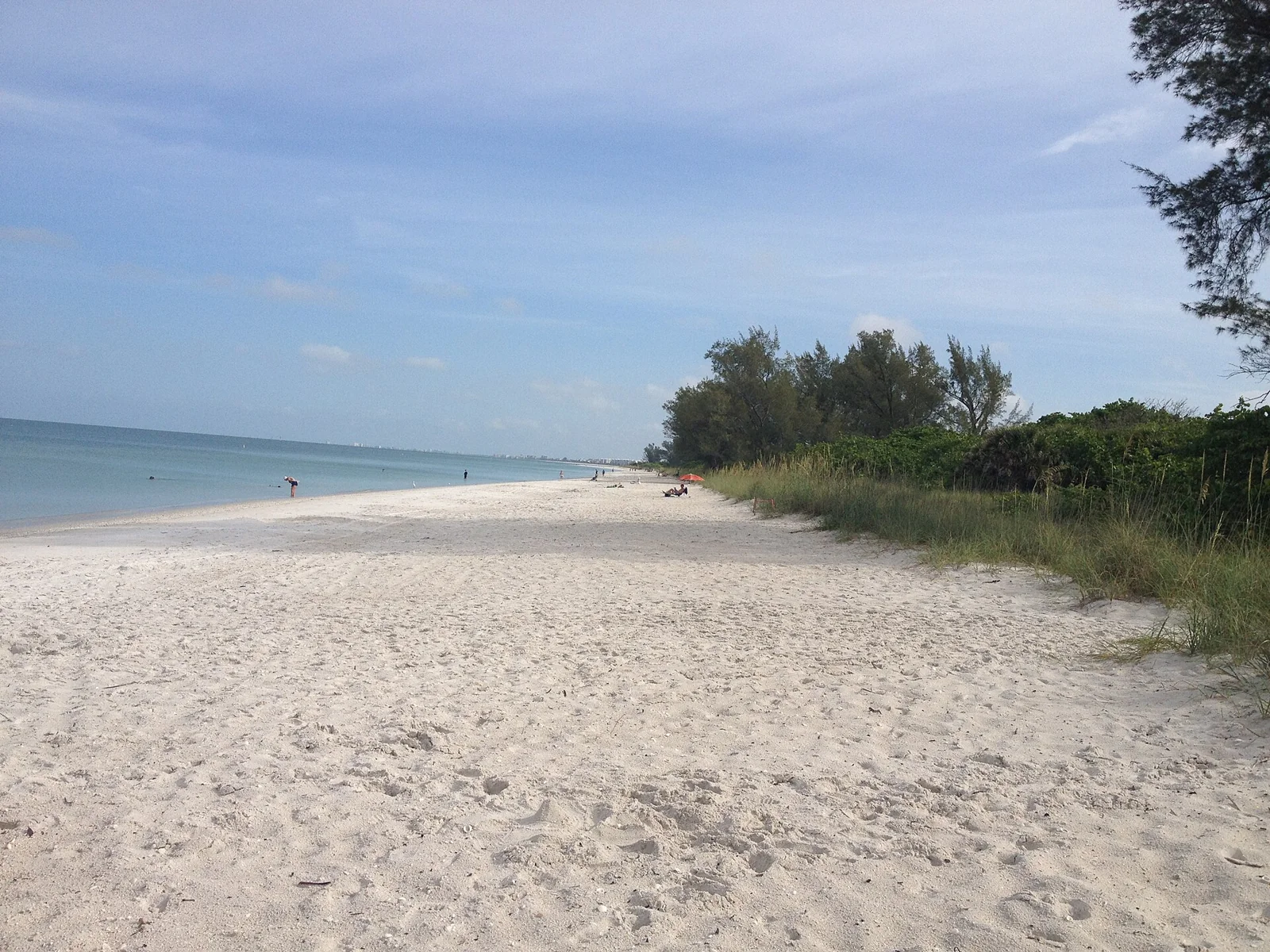 Delnor-Wiggins Pass beach